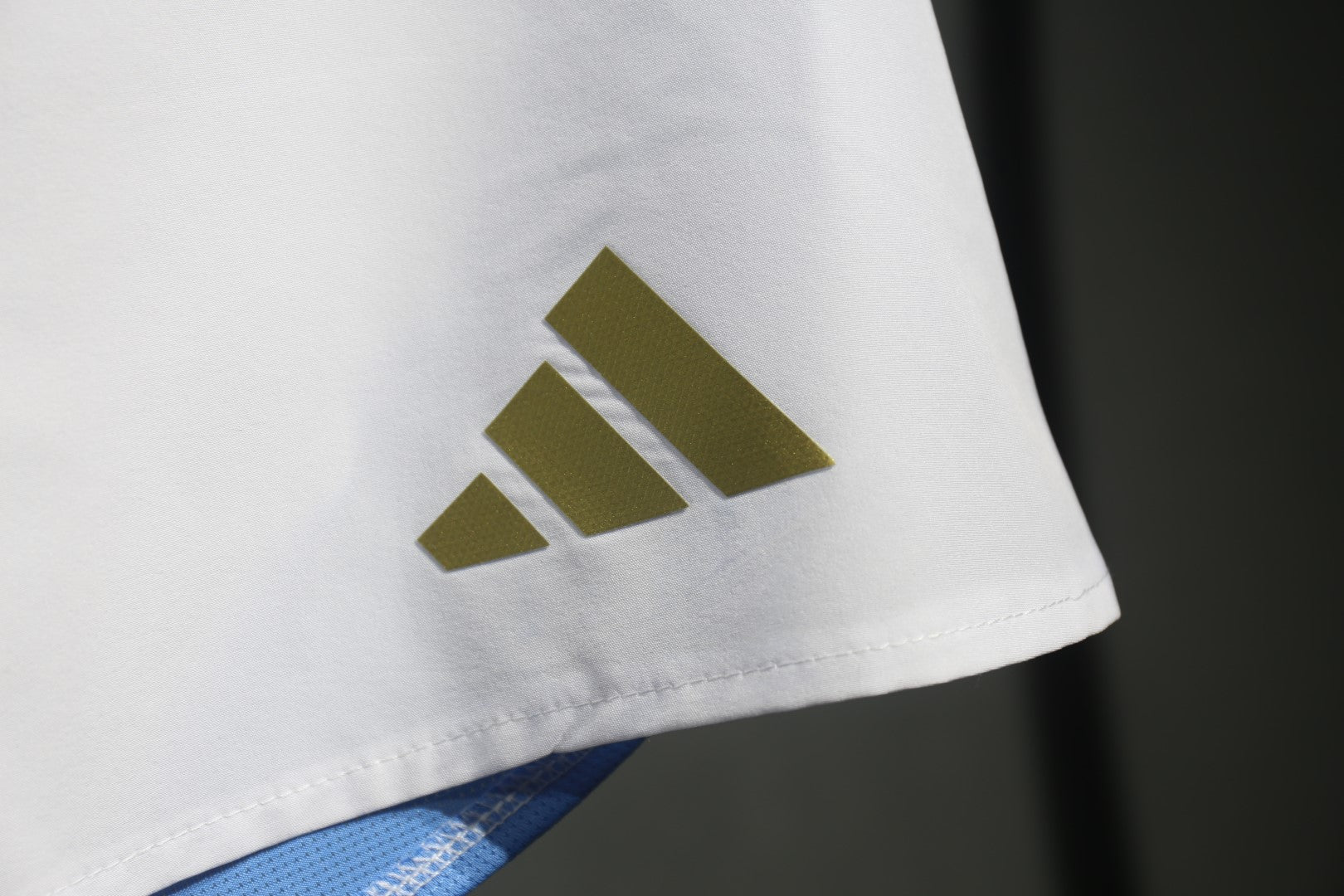 Player Pants 2024 25 Argentina Home