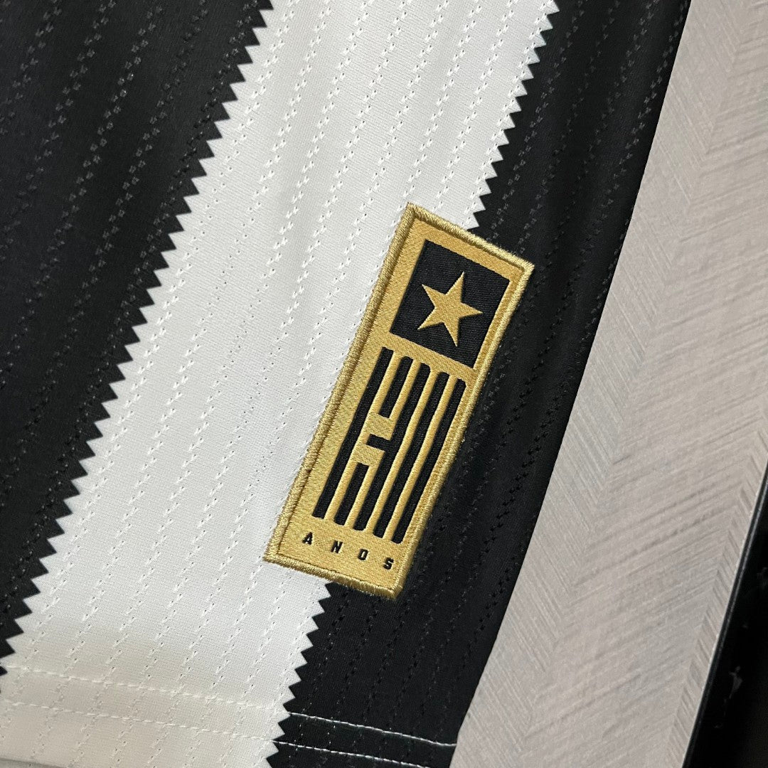 2024 25 Botafogo Home